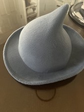 Harry Potter Fleur Delacour Hat picture