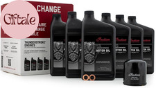Indian Motorcycle Thunderstroke Oil Change Kit 20W 40 6 Quarts 2889311 picture