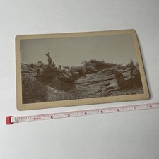 1880s WH Jackson Cabinet Card Rocky Mountain Goats Photo Denver CO Vintage picture