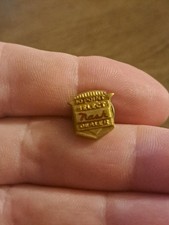 Vintage 10 Point Select Nash Auto Dealer Lapel Pin picture