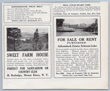 1914 Schroon Lake Adirondacks Vintage Real Estate Ad House Home Gardens 12 Acres picture