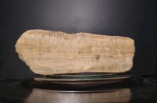 Fluorescent & Phosphorescent Travertine ( Cave Calcite & Aragonite) picture