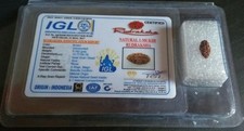 1 One mukhi rudraksha Java Origin 10 mm Size Lab Certified picture