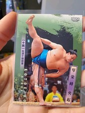 BBM 2026 Sumo Trading Card #45 Kotoeihō Hiroki Base Set Japanese picture