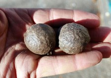 Moqui Marbles •  Iron Concretions • One Pair, About  1.50