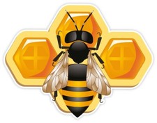 Bee and honey sticker decal 5