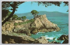 Vintage Lone Cypress Tree Carmel Bay CA Postcard 1960 Pacific Grove Postmark picture