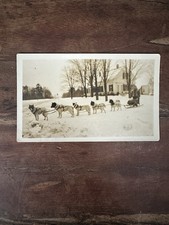 1926 Original Photograph Dog Sled Mail Team Minot Corner Maine picture