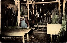 PC Partial View Packing Cellar and Shed of the Gardner Nursery Co Osage Iowa picture