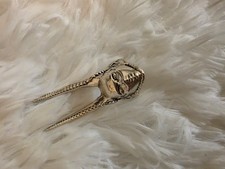 Jojo ring picture