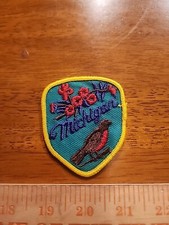 Vintage State of Michigan Sew On Patch V1 picture