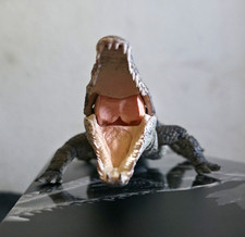 Bandai Tamashii Nations Crocodylus niloticus Crocodile (Light Color) With Box. picture