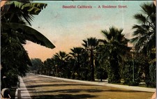 1912 Beautiful California Residence Street Palm Trees Postcard picture