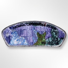 National Capital Area Council- FDR Memorial (Version 1) -Council Shoulder Patch picture