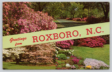Postcard Greetings from Roxboro North Carolina Banner Card Floral Gardens picture