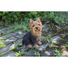 Hi-Line Gift Ltd Dog, Yorkshire Terrier Sitting picture