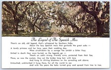 Vintage Legend of Spanish Moss Postcard picture
