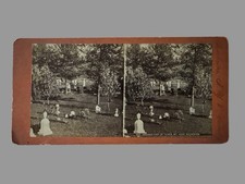 Antique Mt Hope Cemetery Rochester NY Stereoview Grounds East of Tower #653 picture