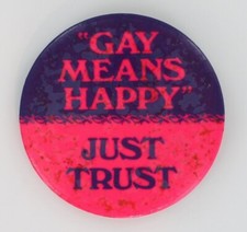 Gay Liberation Movement 1970 Stonewall LGBTQ Civil Rights Florida Male P1525 picture