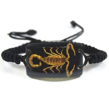 REAL GOLD BLACK SCORPION BRACELET PRESERVED SPECIMEN ADJUSTABLE BAND picture