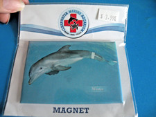 Dolphin Tail Movie Winter Dolphin Magnet Clearwater MARINE AQUARIUM New A1 picture
