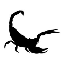 Scorpion Silhouette Decal Sticker Black Die Cut Vinyl picture