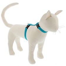Lupine Cat & Small Pet H-Style Harness Aqua 1/2 Inch Adjustable 9-14 Inch Girth picture