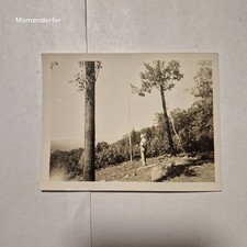 Vintage Sepia Snapshot Photo Man American Flag Mountain Overlook 1930s-40s picture