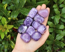 Lepidolite Tumbled Stones: Choose How Many ('A' Grade Lepidolite Crystals) picture