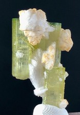 17 CT Gorgeous Tourmaline Crystals Bunch With Albite Combined From Chapu Mines picture