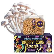 3lb Drippy Corn Grain Spawn picture