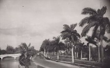 Fort Lauderdale 1944 Las Olas Boulevard Palm Trees Bridge Florida Rare Photo picture