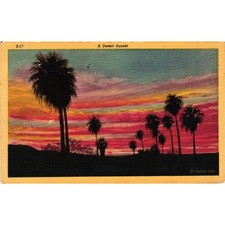 Vintage 1956 Phoenix AZ Desert Sunset Linen Postcard Frasher Foto S12 Curt Teich picture