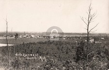 Bird's-Eye View of Lovell MI Michigan 1911 RPPC Photo Postcard COPY picture