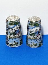 Vintage 1950s Florida Souvenir Salt & Pepper Shakers Florida Landmarks Japan EUC picture