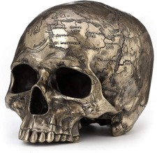 Craniumography Skull Map Cold Cast Bronze Finish Sculpture picture