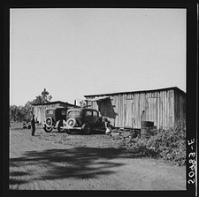 Photo:Homestead Florida 1930s FSA Farmhouse Cars Marion Post Wolcott picture