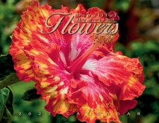 2027 CALENDAR - HAWAIIAN FLOWERS picture