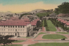 El Prado Balboa Zona del Canal Lewis Service Panama City Hand Colored Postcard picture