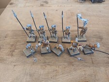 Warhammer Fantasy Dogs Of War Alcatani Fellowship picture