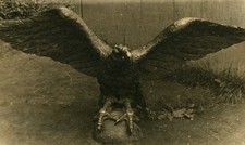 Eagle sculpture from monument ussr vintage photo picture