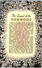 intage Postcard The 1954 Legend Of The Dogwood Religious Floral Poem picture