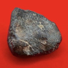 NWA 869 Meteorite, Chondrite Meteorite, Meteorite Collection, Space, 21.94 Grams picture