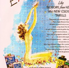 VINTAGE 1940 LANDER'S TALCS PINUP GIRL POSTER AD ART PRINT 11x14 RISQUE WW2 ERA picture