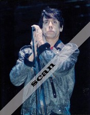 IGGY POP Legendary Musician Live Concert 8X10 PHOTO #A450 picture