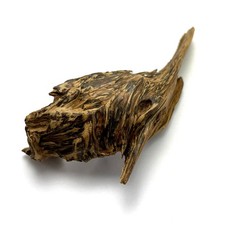 11grams Rare Wild High Resinuos Peninsular Aged Worm Hole Agarwood 马来半岛重油黑油老虫漏沉香 picture