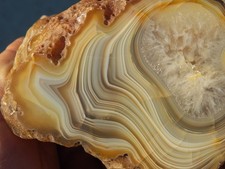 1.5 lb very rare shadow effect agate specimen from Selemja river Yakutia Russia picture