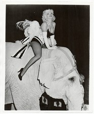 Marilyn Monroe 1955 Madison Square Garden Circus Elephant Rare Photofest Photo picture