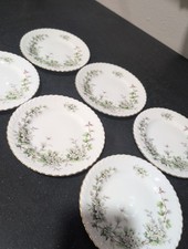 Vintage Franconia Krautheim Set Of 6 HAWTHORN 6