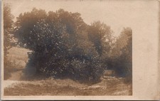 RPPC Woodland Dirt Track Rural Landscape Vintage Postcard 4P24-32 picture